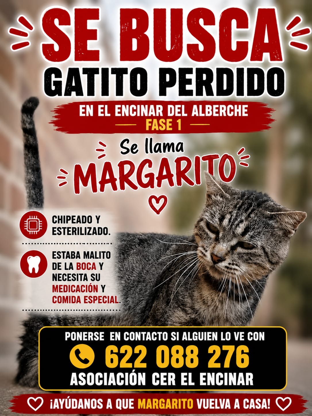Margarito
