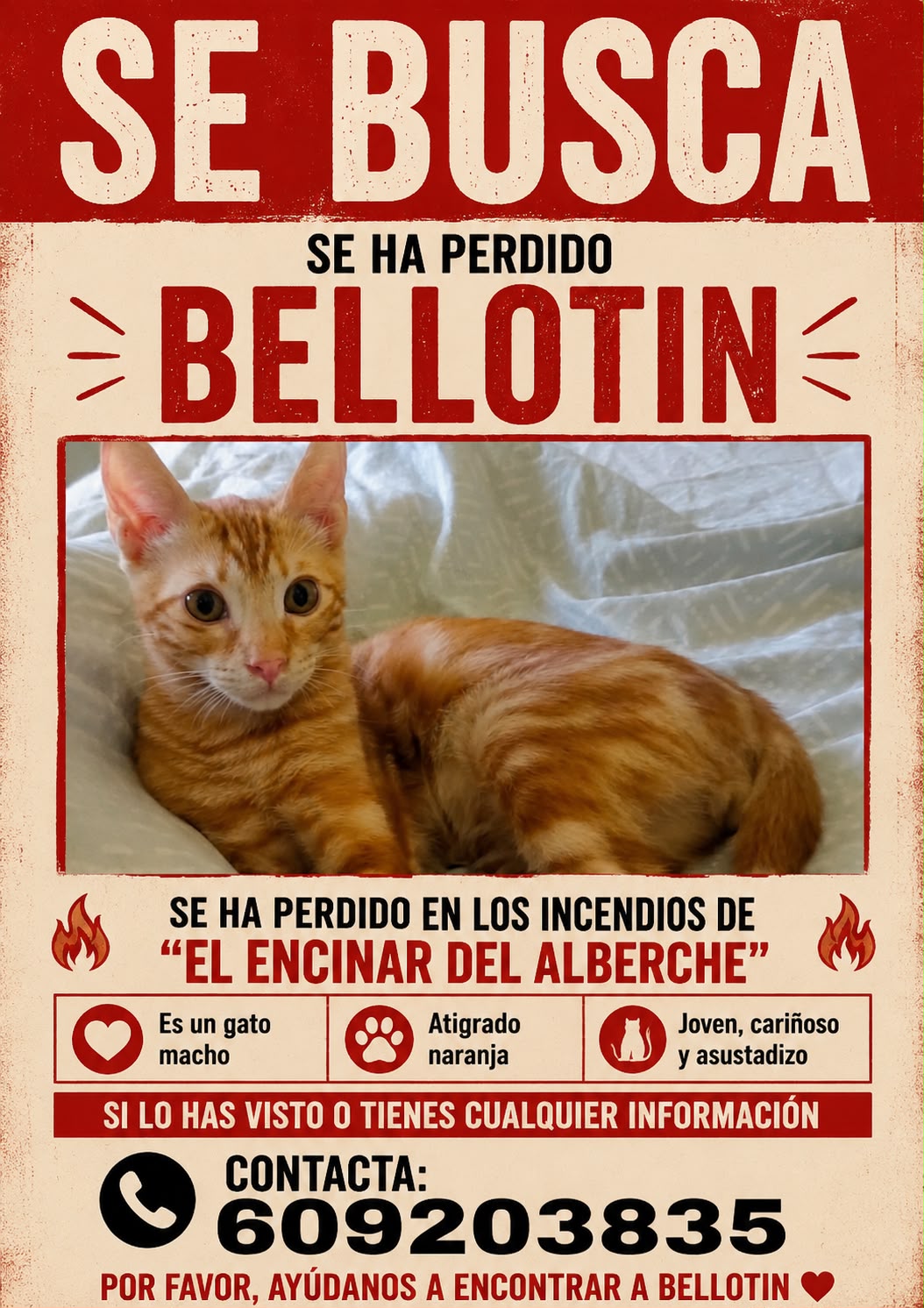 BELLOTIN